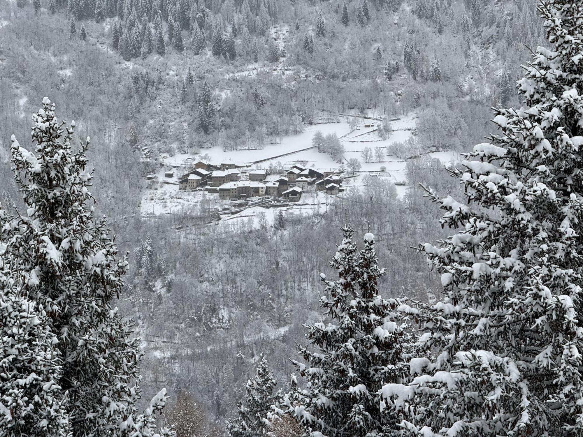 Panorama Marilleva 1400 - Val Di Sole Leilighet Eksteriør bilde