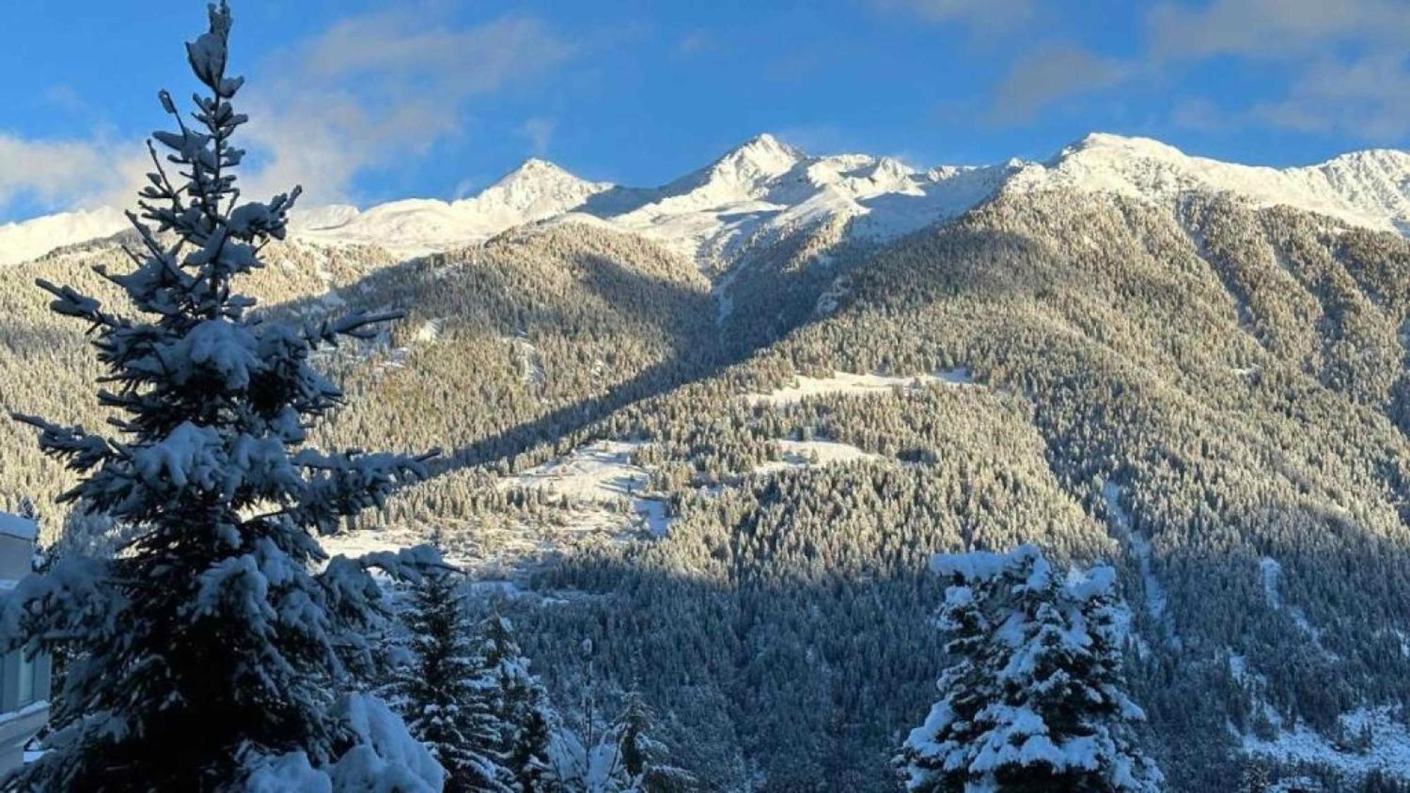 Panorama Marilleva 1400 - Val Di Sole Leilighet Eksteriør bilde